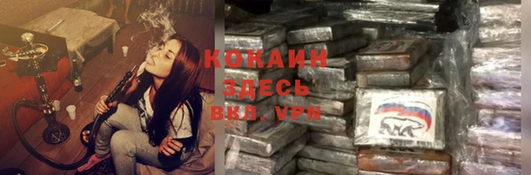apvp Алексин