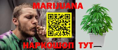дживик Кингисепп