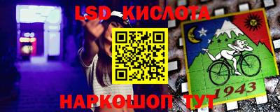 дживик Кингисепп