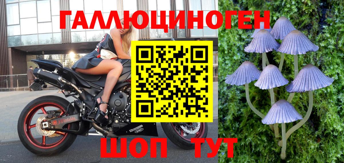Кропоткин  Псилоцибиновые грибы мухоморы  Вход с VPN 
